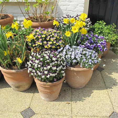Ξενοδοχείο Prins Maurits Bergen aan Zee