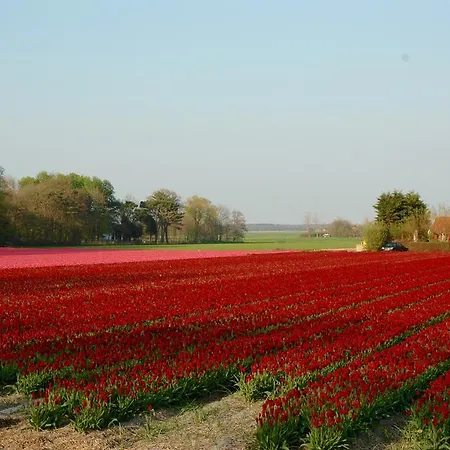 Prins Maurits Hotel 3*