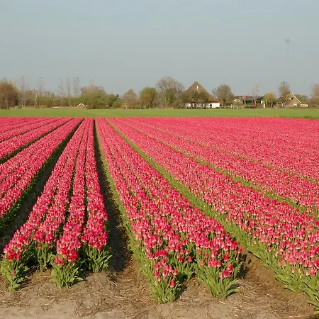 Prins Maurits 3* Bergen aan Zee