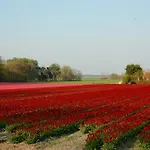 Prins Maurits Hotel 3*