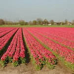 Prins Maurits 3* Bergen aan Zee
